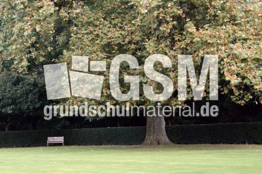 B-Herbststimmung 043.jpg